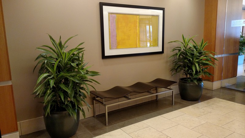 Interior-Plantscapes-New-Berlin-WI