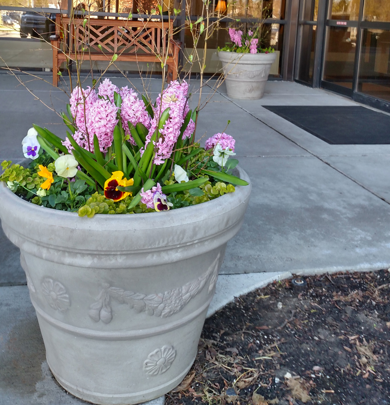 Decorative-Exterior-Planters-Milwaukee-WI