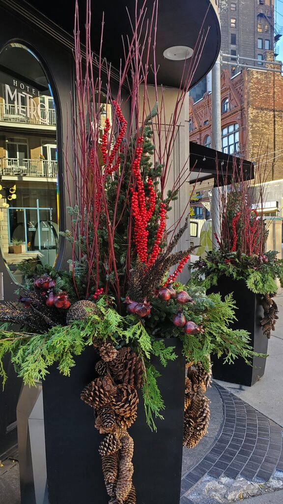 red plant